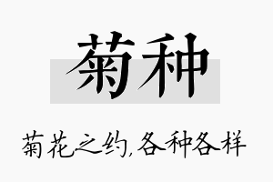 菊种名字的寓意及含义