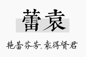 蕾袁名字的寓意及含义