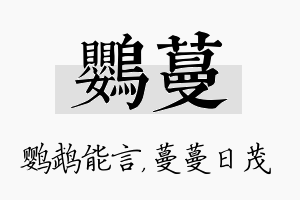 鹦蔓名字的寓意及含义