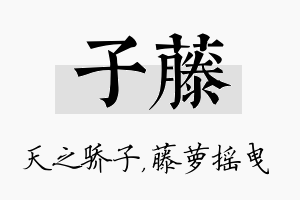 子藤名字的寓意及含义