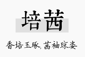 培茜名字的寓意及含义