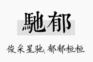 驰郁名字的寓意及含义