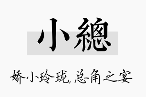 小总名字的寓意及含义