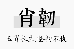 肖韧名字的寓意及含义