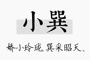 小巽名字的寓意及含义