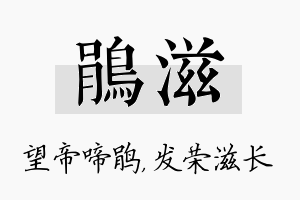 鹃滋名字的寓意及含义