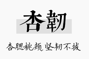 杏韧名字的寓意及含义