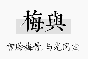 梅与名字的寓意及含义