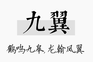 九翼名字的寓意及含义