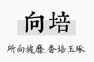 向培名字的寓意及含义