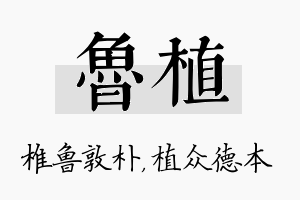 鲁植名字的寓意及含义