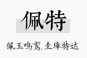 佩特名字的寓意及含义