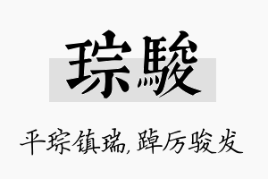 琮骏名字的寓意及含义