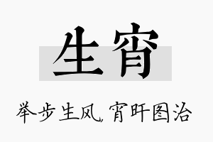 生宵名字的寓意及含义