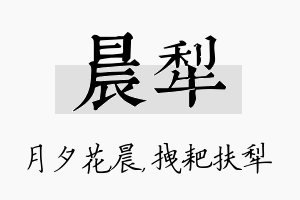 晨犁名字的寓意及含义