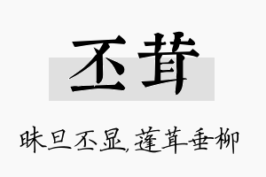 丕茸名字的寓意及含义