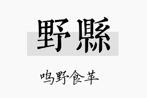 野县名字的寓意及含义