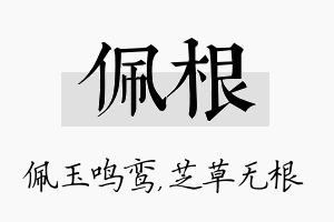 佩根名字的寓意及含义