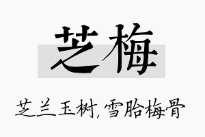 芝梅名字的寓意及含义