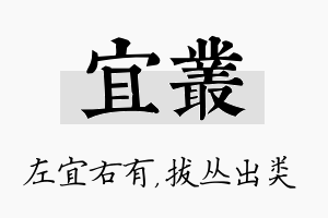 宜丛名字的寓意及含义