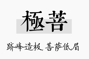 极菩名字的寓意及含义