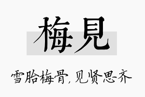 梅见名字的寓意及含义