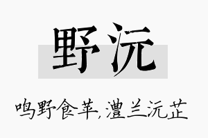 野沅名字的寓意及含义