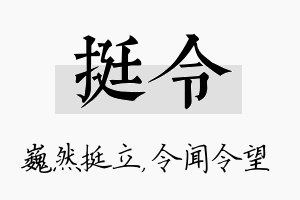 挺令名字的寓意及含义