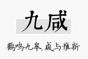 九咸名字的寓意及含义