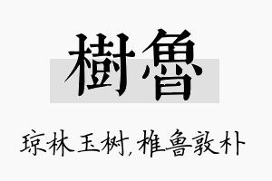 树鲁名字的寓意及含义