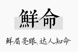 鲜命名字的寓意及含义