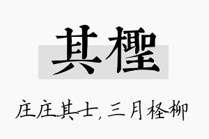 其柽名字的寓意及含义