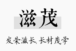 滋茂名字的寓意及含义