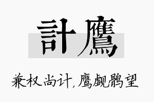 计鹰名字的寓意及含义