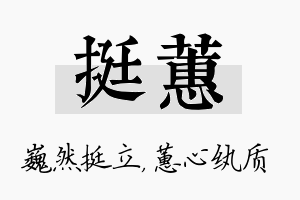 挺蕙名字的寓意及含义