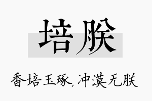 培朕名字的寓意及含义