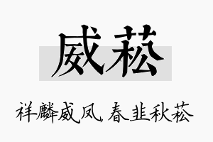 威菘名字的寓意及含义