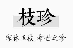 枝珍名字的寓意及含义