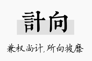 计向名字的寓意及含义