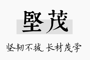 坚茂名字的寓意及含义