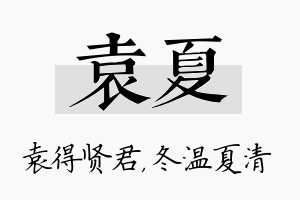 袁夏名字的寓意及含义