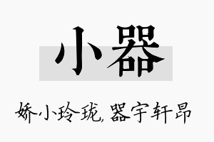 小器名字的寓意及含义