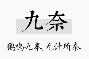 九奈名字的寓意及含义