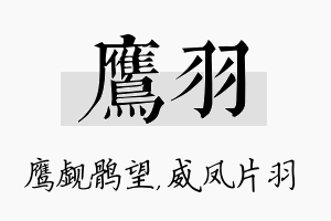 鹰羽名字的寓意及含义