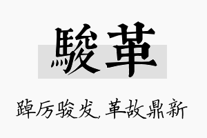 骏革名字的寓意及含义