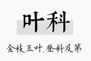 叶科名字的寓意及含义