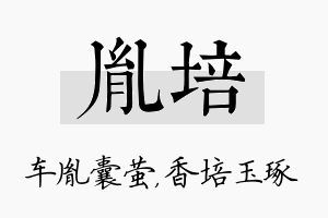 胤培名字的寓意及含义