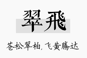 翠飞名字的寓意及含义