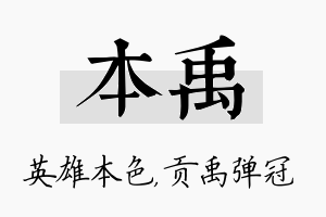 本禹名字的寓意及含义