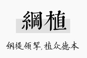 纲植名字的寓意及含义